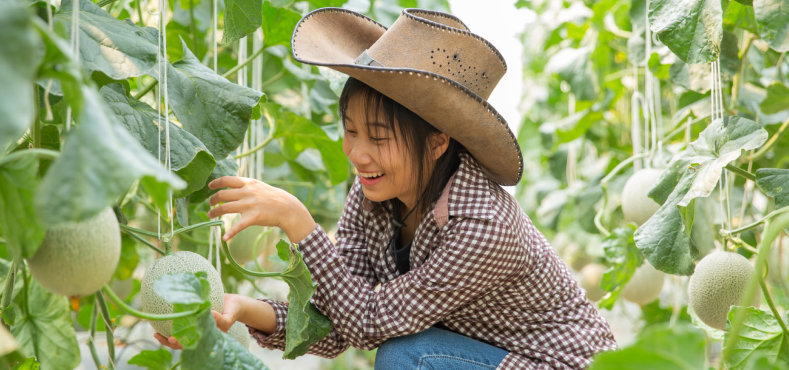 The Future of Organic Pest Control: Why WAH Is a Game-Changer 11